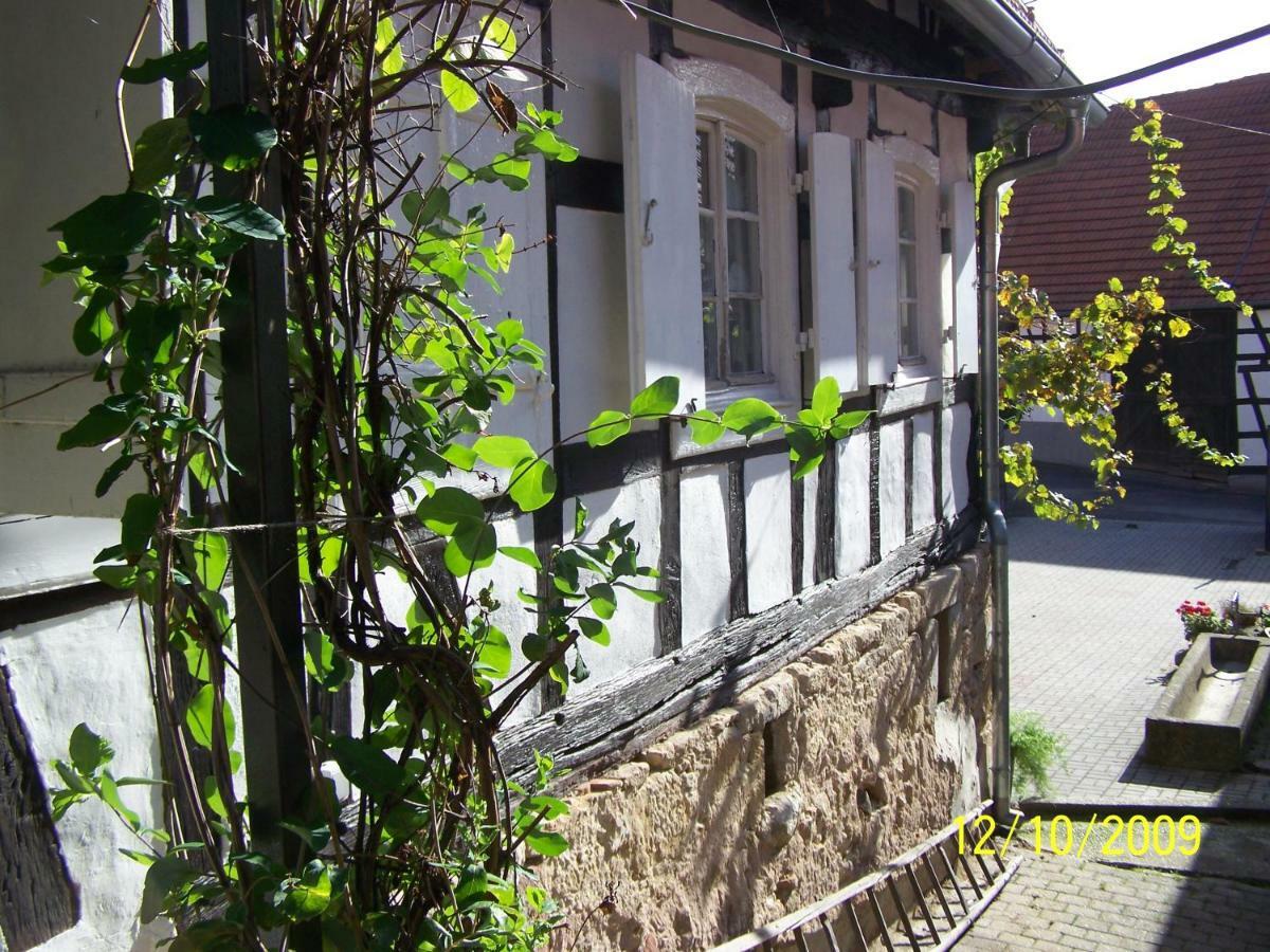 Gîte&Chambres d'hôtes Sabine Billmann Hunspach Extérieur photo