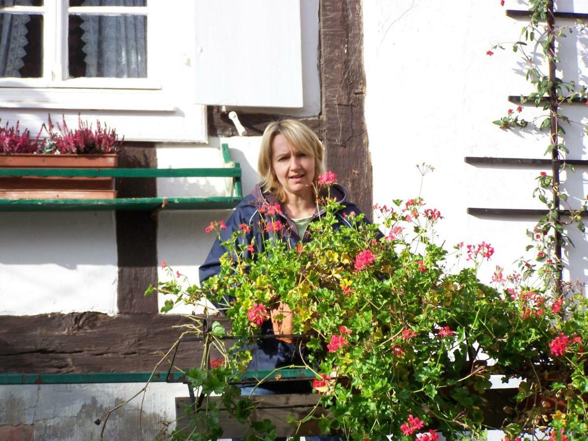 Gîte&Chambres d'hôtes Sabine Billmann Hunspach Extérieur photo